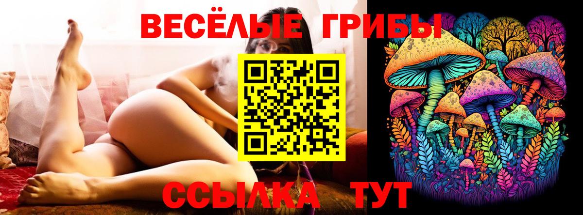 Котовск  Галлюциногенные грибы прущие грибы  Вход с VPN 